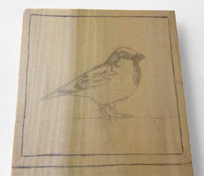 Essentials Carve et Printmaking imprimer vos propres Woodblock (comment faire de l'artisanat de bloc de bois) Essentials Carve et Printmaking imprimer vos propres Woodblock