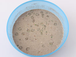 Ragi Dosa - instantané Ragi farine Dosa Recette à l'étape par étape Photos (dosa) Ragi Dosa - instantané Ragi farine Dosa recette à l'étape par étape Photos