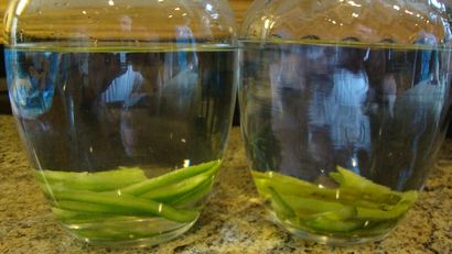 Rôti Serrano infusé Tequila Party inattendue -Une - Vie du Parti Toujours! (fête) Rôti Serrano infusé Tequila Party inattendue -Une - Vie du Parti Toujours!