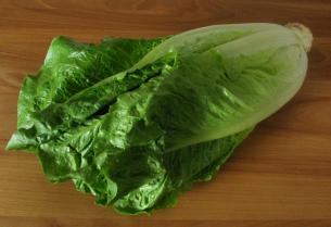Salade verte De A à Z de cuisine Démarrer (Без кейворда) Salade verte de A à Z de commencer la cuisson