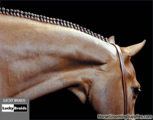 Afficher Anneau Hunter Tresses, Comment obtenir le look de tresses parfaites, Thistle Ridge Equestrian Services (conseils de tressage) Afficher Anneau Hunter Tresses, Comment obtenir le look de tresses parfaites, Ridge Thistle Equestrian Services
