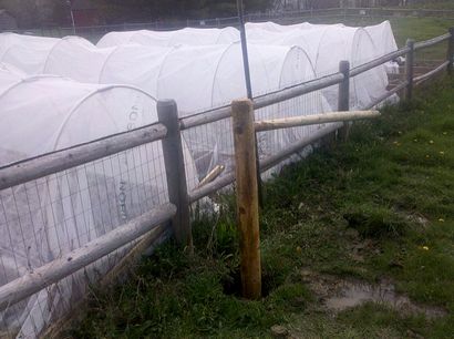 Simple Pig Pen design (conception) Conception simple Pig Pen