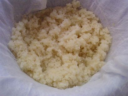 Le Do-It-Yourself maman bricolage frais Sugarcane (ou canne à sucre) Sirop (canne à sucre) Le Do-It-Yourself maman bricolage frais Sugarcane (ou canne à sucre) Sirop