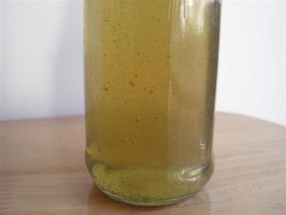 Le Do-It-Yourself maman bricolage frais Sugarcane (ou canne à sucre) sirop (sirop de sucre de canne comment faire) Le Do-It-Yourself maman bricolage frais Sugarcane (ou canne à sucre) Sirop