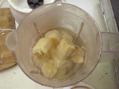 Le Do-It-Yourself maman bricolage frais Sugarcane (ou canne à sucre) Sirop (canne) Le Do-It-Yourself maman bricolage frais Sugarcane (ou canne à sucre) Sirop
