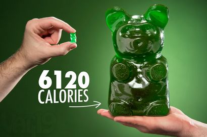 Le plus grand Gummy Bear World A 5 livres Gummi ours! (livre) Le plus grand Gummy Bear World A 5 livres Gummi ours!