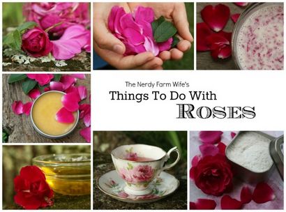 Choses à faire avec des roses séchées - Une Charmante Maison (huile de rose pétale comment faire) Choses à faire avec des roses séchées - Une charmante maison