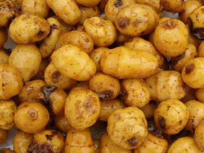 Tiger Nuts lait, Kunun Aya ou Horchata de Chufas, Tous les Nigérians Recettes alimentaires (lait de noix de tigre) Tiger Nuts lait, Kunun Aya ou Horchata de Chufas, Tous les Nigérians Food Recipes