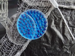 Perles d'eau Idées et utilisations, Holidappy (eau) Perle d'eau Idées et utilisations, Holidappy