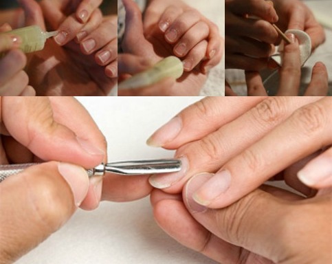 suche manicure europejski