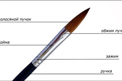 четки за маникюр ръководство за нокти