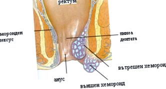 după defecare