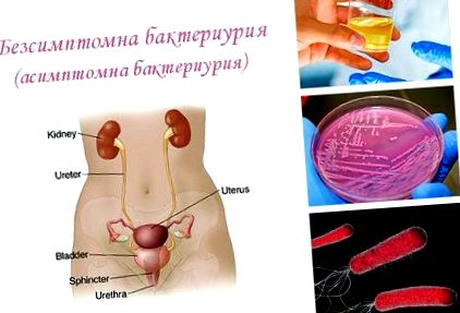 tractului urinar