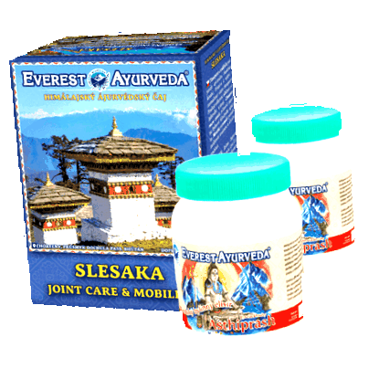 Everest Ayurveda