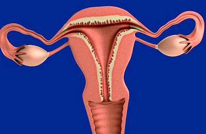 endometrială