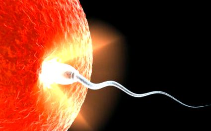 numărului spermatozoizi