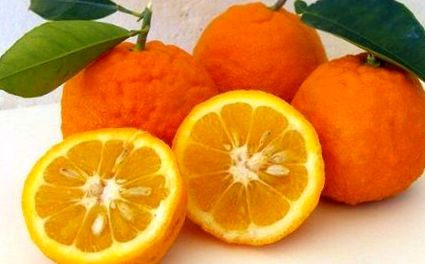 portocalie