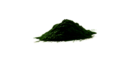 chlorella