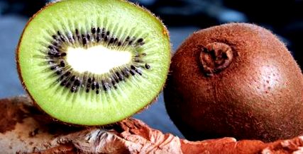 kiwi