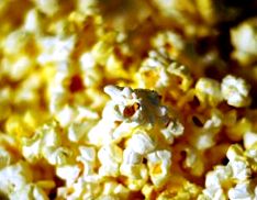 popcornul