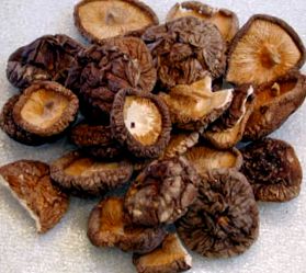 Shiitake szedésének