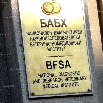 bfsa