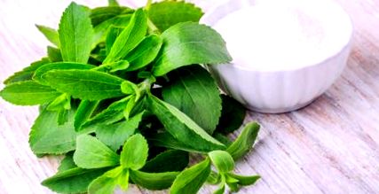 stevia