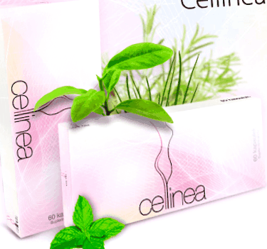 cellinea