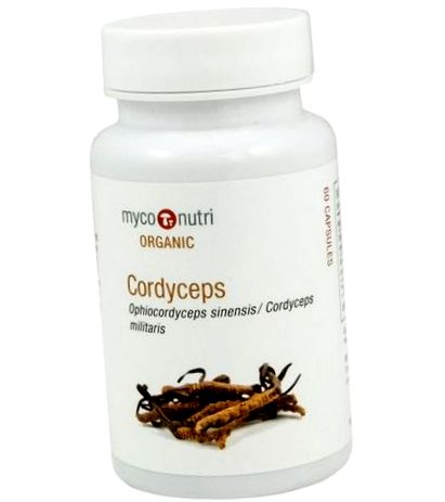 cordyceps