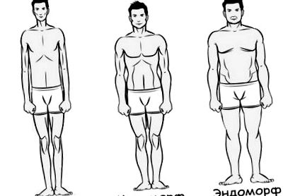 endomorph