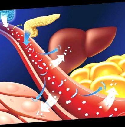 metabolismul