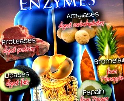 enzime