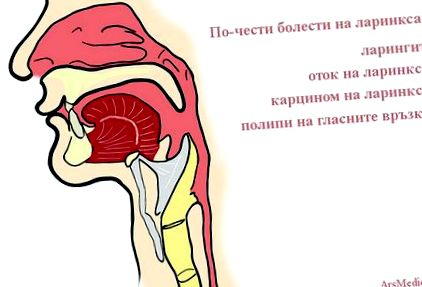 laringele