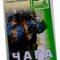 chaga