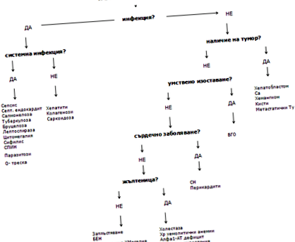 hepatosplenomegaliei