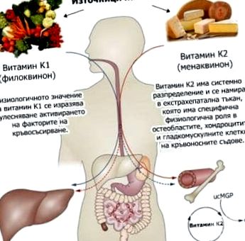 vitaminei