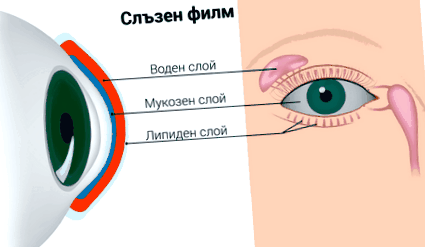 sindromul