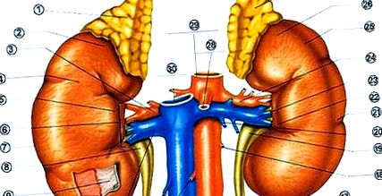 transplanturile