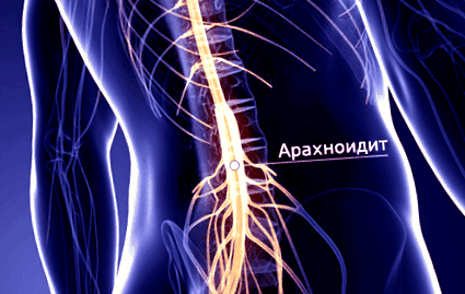 măduva spinării