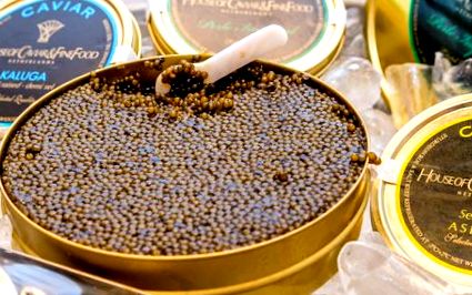 caviarului