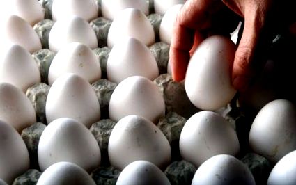 Dieta cu ouă funcționează? Pro, contra și cum să începeți