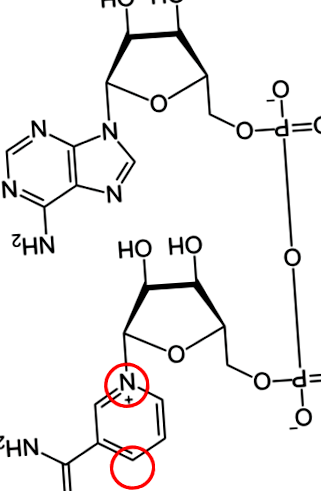 cofactors