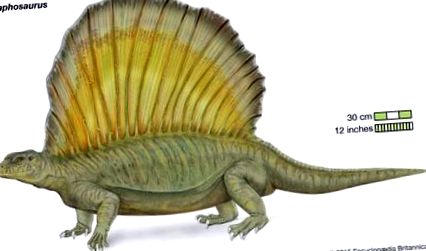 едафозавр