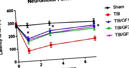 neuroinflamarea