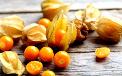 physalis