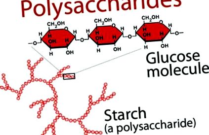 polizaharide