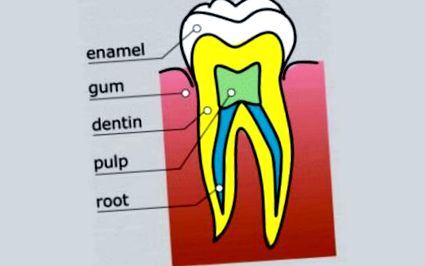 стоматологія
