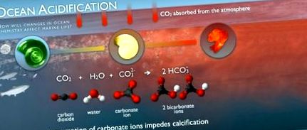 dioxid carbon