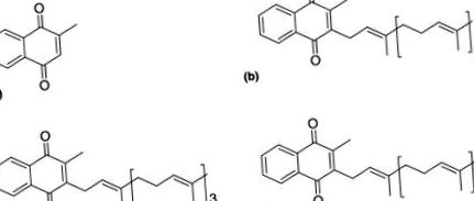 sciencedirect