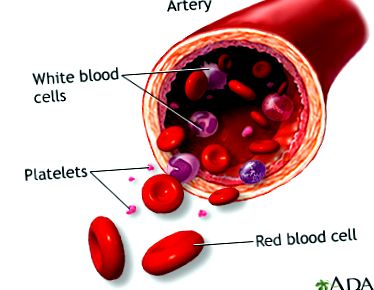 hematocrit